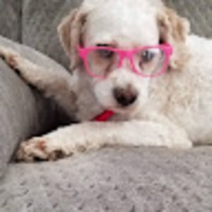 Meet your Posher, Autumn